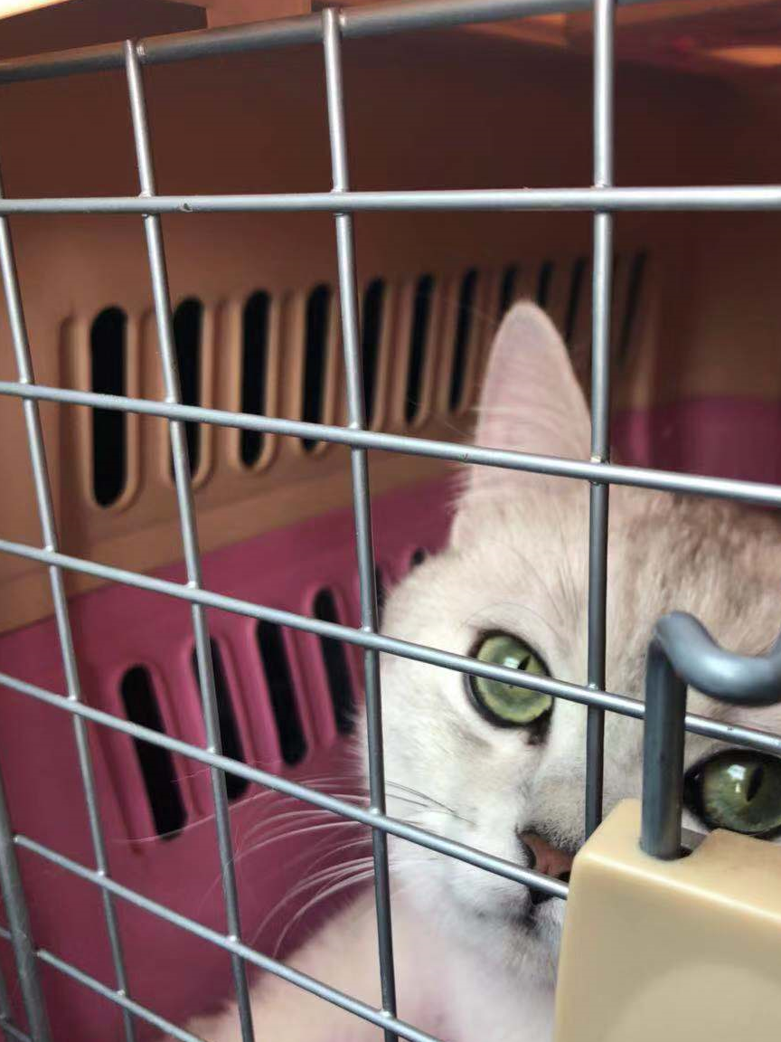 大夫检查了她的精神状态后觉得问题不大,开始查b超.