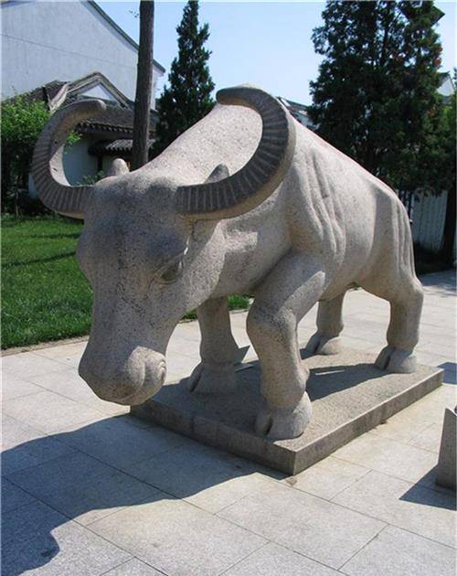 印度男子与妻子离婚,花费17万和母牛结婚,婚后他们过得怎么样?