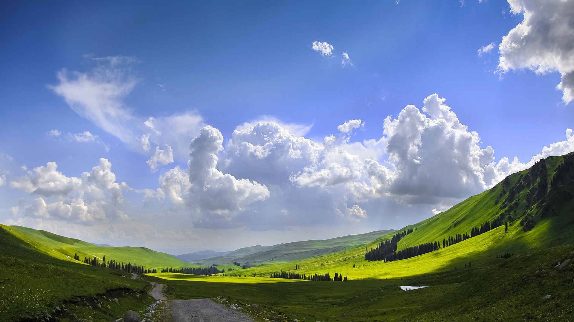 鲁朗林海旅游自由行费用高吗,67鲁朗镇六日游行程费用要多少钱_小雪