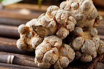 第三个就是鸡骨草鸡尾草也是一种常见的药材,很多凉茶中都会有鸡尾草