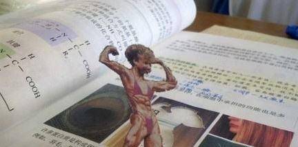 高中生物肌肉女配图被删,专家称怕学生有想法,学生:在侮辱我们_插画