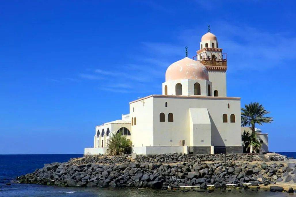 沙特阿拉伯×曼奈柯斯,打造全球物流中心的港口枢纽!_经济_国王_需求