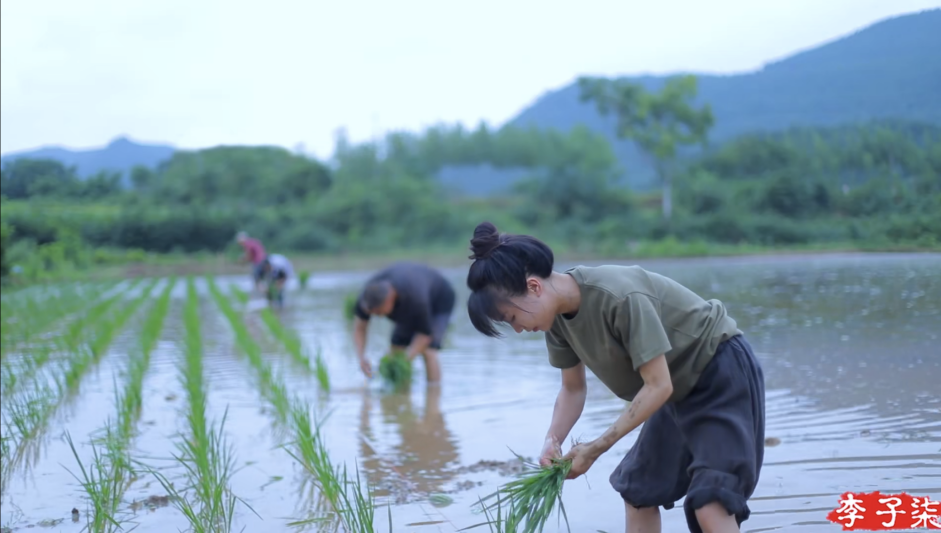用自己的方式向世界传播中国文化的先行者_李子柒_视频_网友