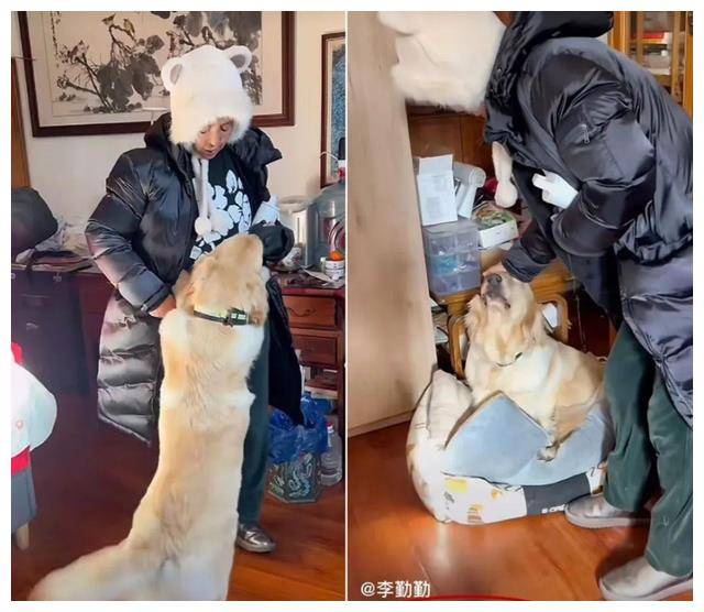 60岁女性收养狗,寻找国际爱情失败,抱怨两次嫁老外失败.