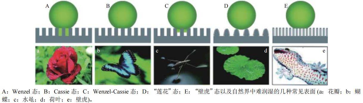 农药制剂研发的精细化,功能化与农业生产高效利用_研究_吸附_体系