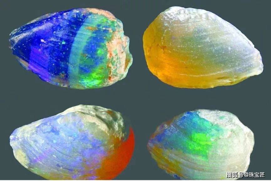 欧泊_黑欧_化石