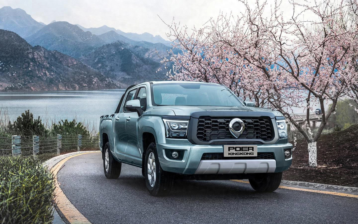 海外学者眼中7款中国皮卡排名,优势和劣势分析_负载_江淮_俄罗斯