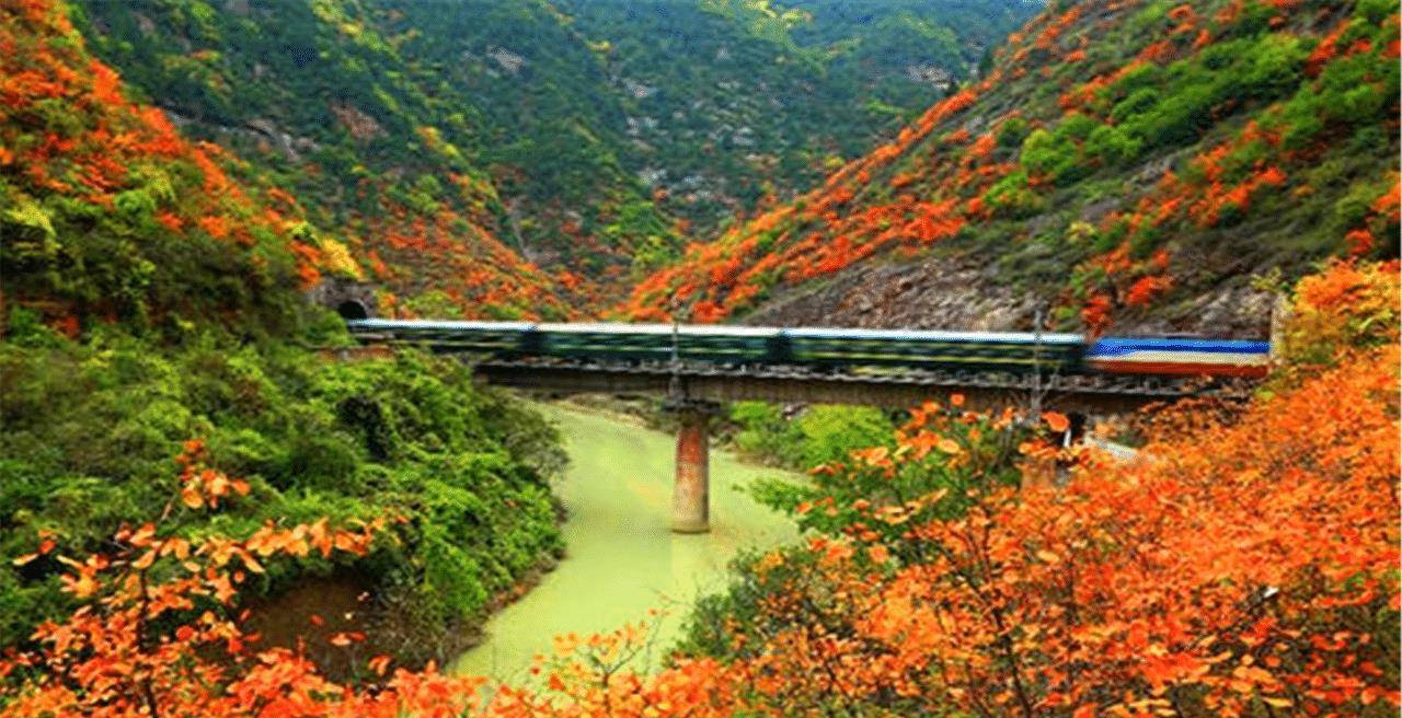 秦岭唯一"盘山铁路",无与伦比的风景线,从陕西直达四川_大山_到达