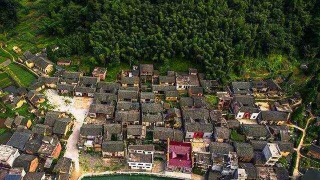 花塘特色产业兴村一跑马探访湖南郴州市临武县之六