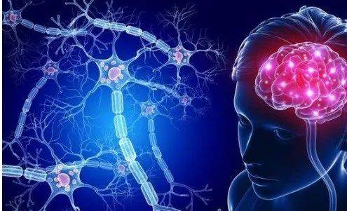 寒假速递,脑科学提升学习效率的几个真相_大脑_记忆_考试