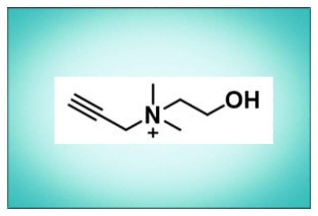 685082-61-5,alkyne-choline,炔基胆碱,可以通过铜