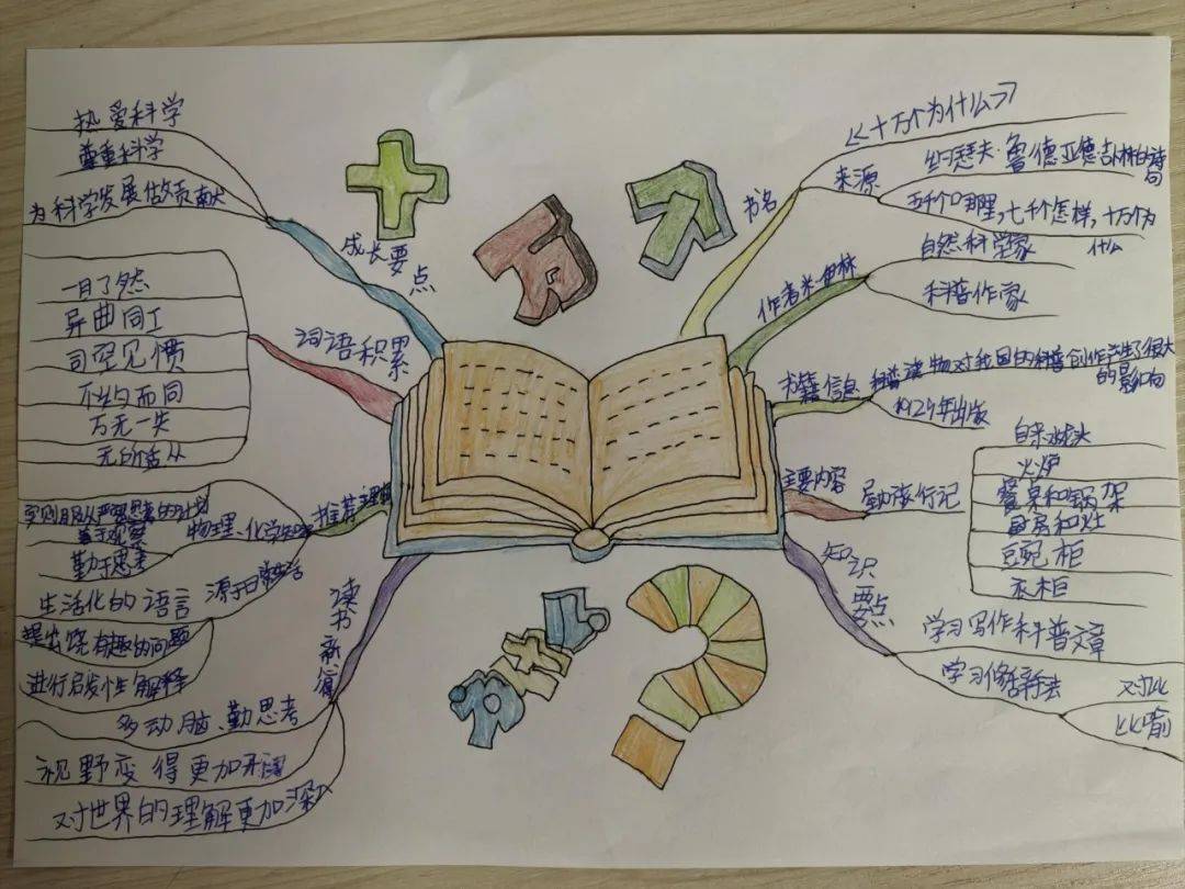 集福挑战赛 快乐度寒假 ——濮阳市昆吾小学寒假创意实践作业展示(四)