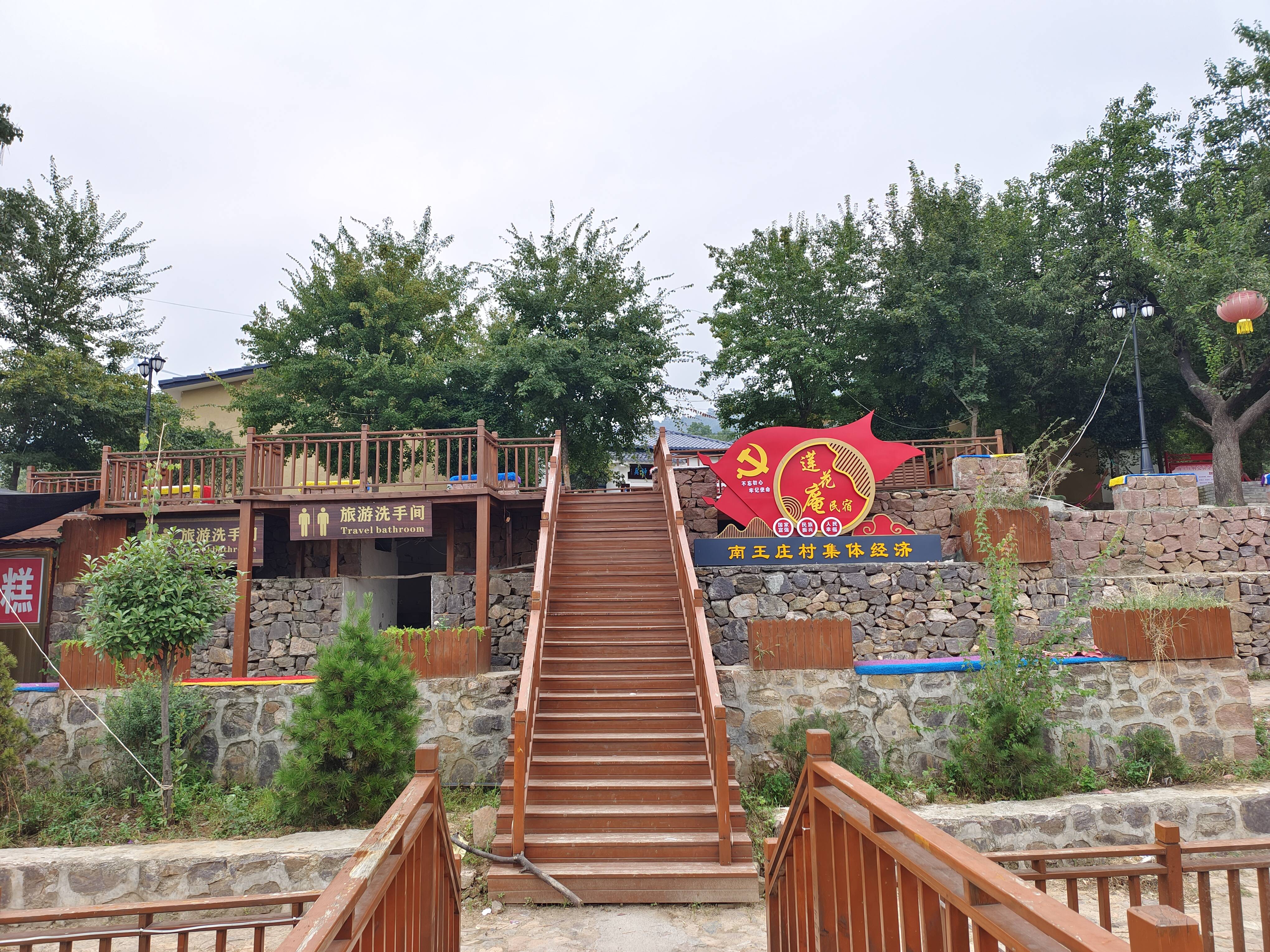 翟国松:乡村振兴圆梦人_南王庄村_村里_生活