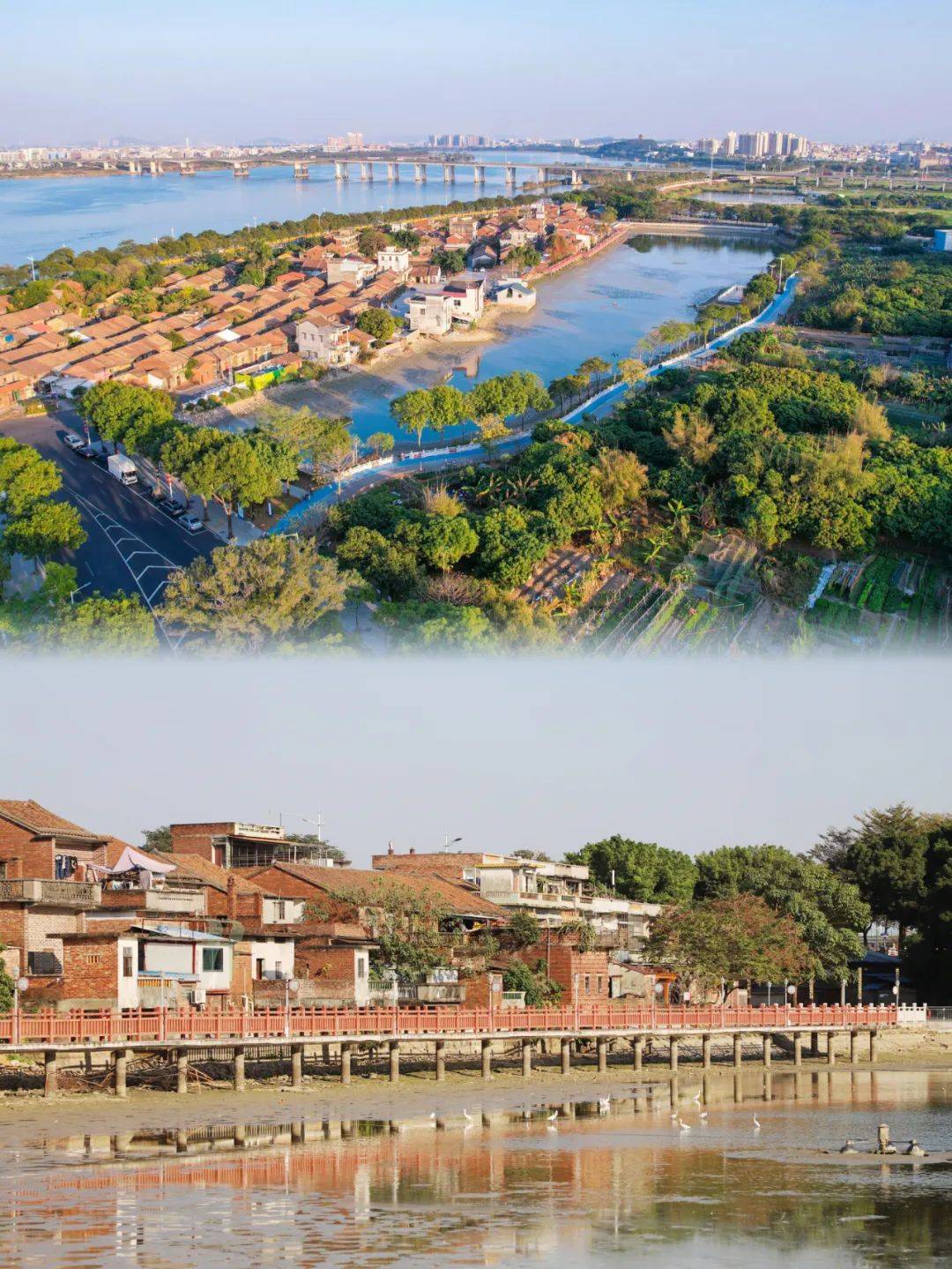 赤坎村,藏在东莞石排镇东北面的宝藏乡村_文化_发展_东江