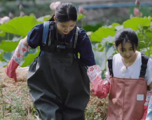 挖莲藕时欧阳娜娜镜头都是美的,张子枫一言难尽_妹妹_节目_显得