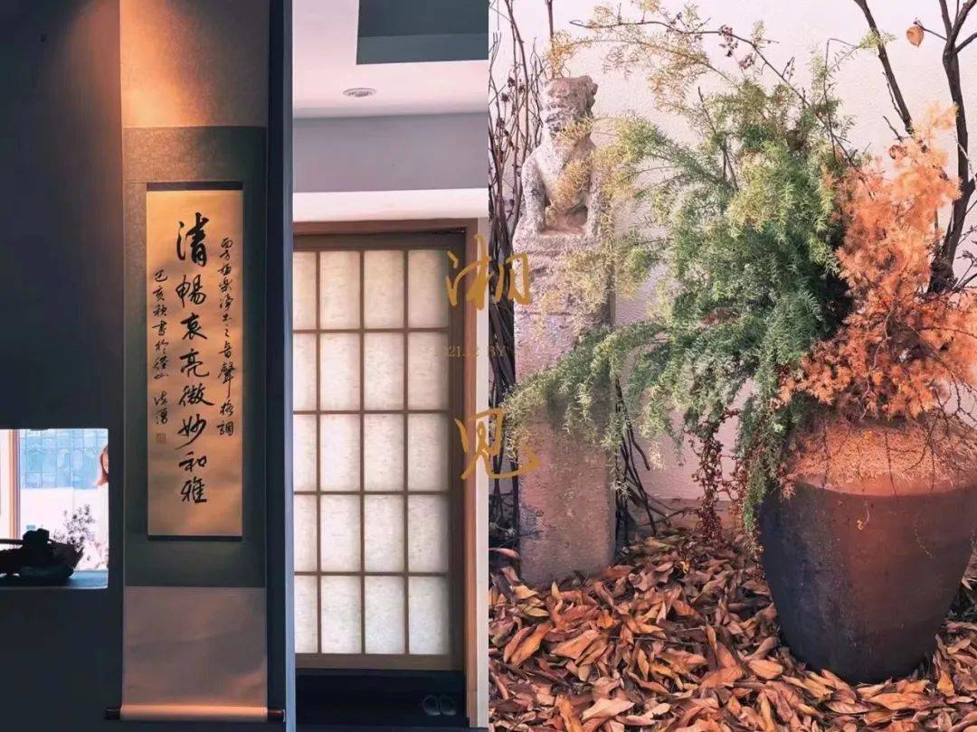 柏韵健身中心(滨江银泰喜来登店)tko搏击俱乐部(城北店)tko搏击俱乐部