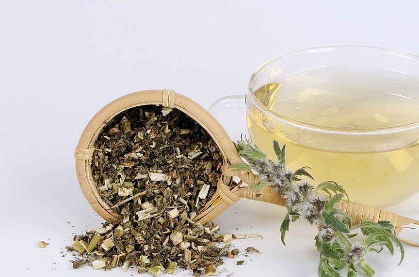 益母草这种中药材具有超强的抗凝血能力,平时人们服用以后能提高