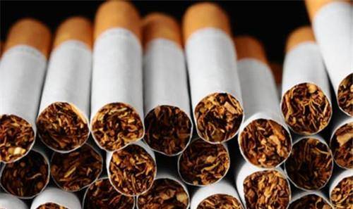 英国公司为证明香烟无害,每天强迫狗抽100支烟,结果只换来6个字_实验