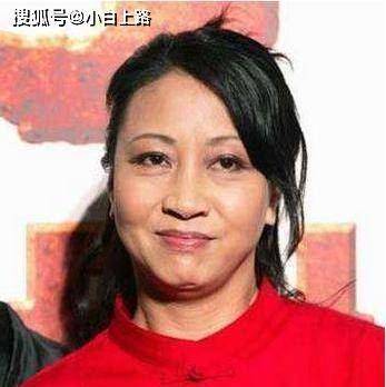 出演过《天蚕变》《五爪十八翻》《新飞狐外传》等电影,不过都没击起