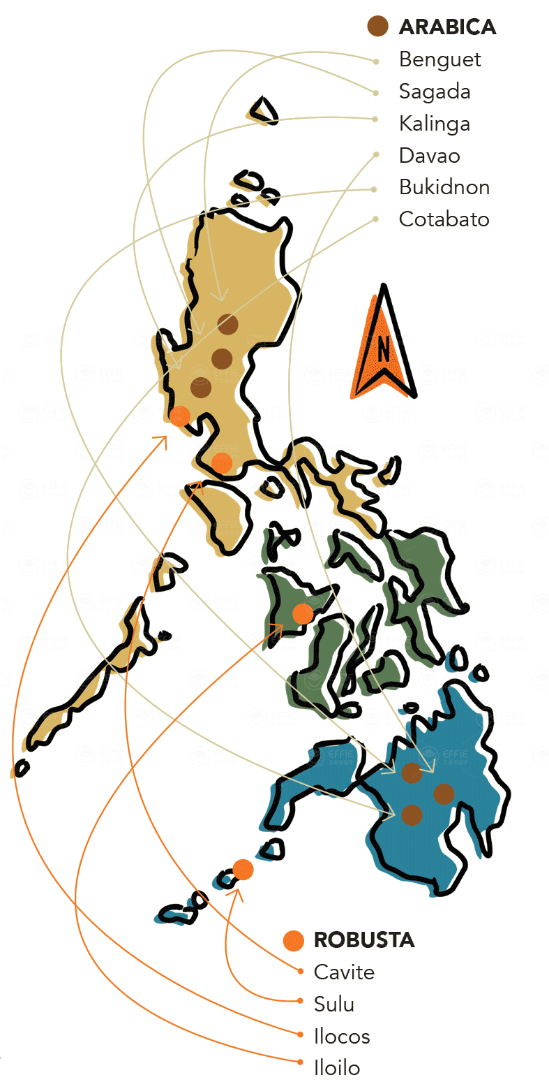 excelsa 和 robusta这四种咖啡的国家之一,菲律宾从低地到山区的气 