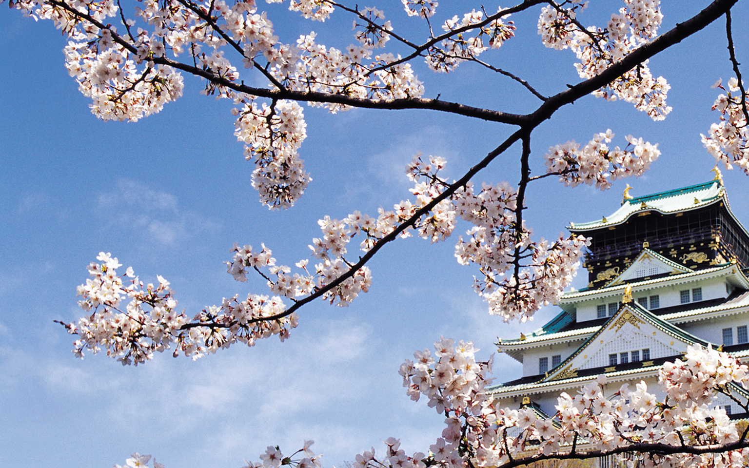 妻子光明正大看我手机消息,我忍无可忍提离婚,不料