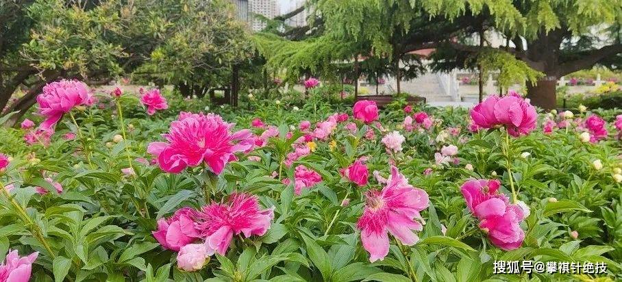 原,尽量避免接触或少接触过敏原;其次,注意个人卫生,勤洗晒衣物和被褥