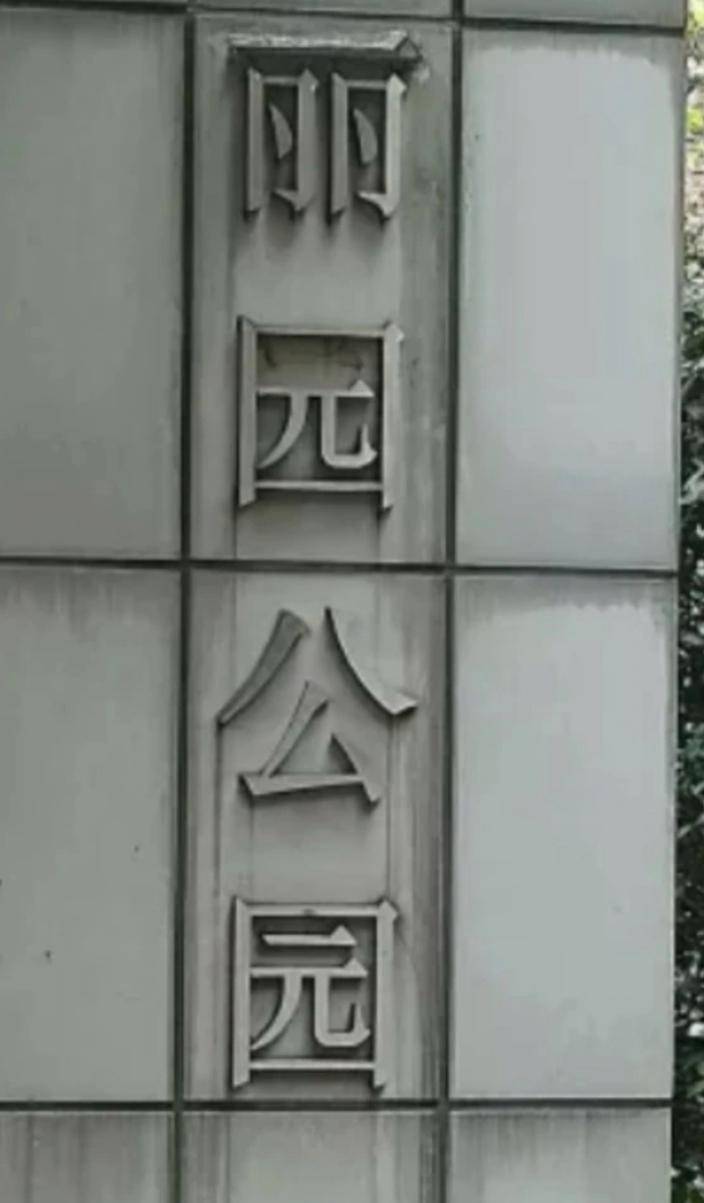 上海黄浦丽园公园美到难忘_市民_进行_长椅