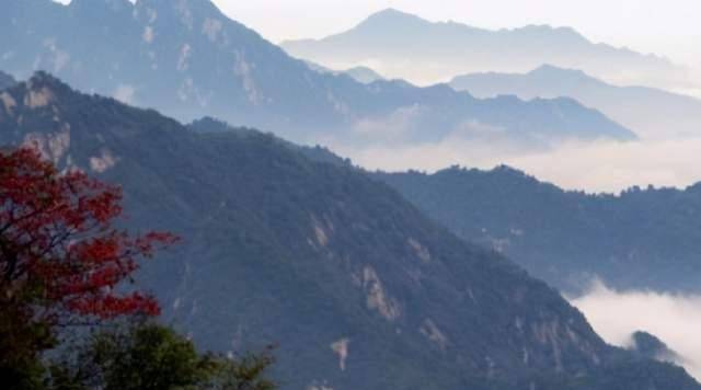 避世隐居终南山,被父亲一脚踹回现实:没钱,别学陶渊明_魏超_人生_道教