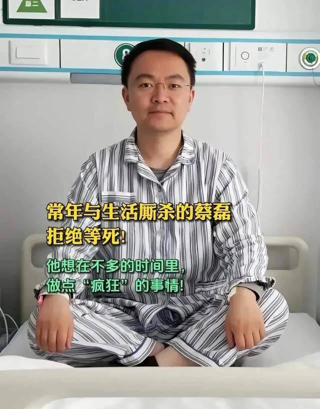见过蔡磊背后的女人 得出三个择偶标准_蔡雷_段锐_蔡蕾