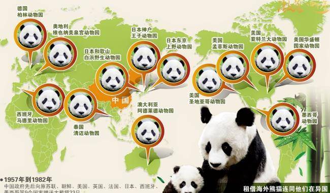 中国特殊的"外交官",如今老了也无法回到祖国,无数人悲痛不已_大熊猫