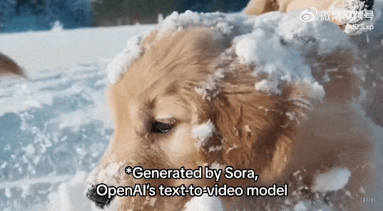 "造片神器"sora一夜爆红,卖课的骗子又出动了_视频_openai_模型