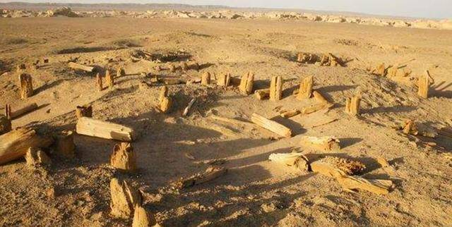 1998年楼兰盗墓案:墓内惊现彩棺,被盗墓贼拆成12块运走倒卖国外_古城