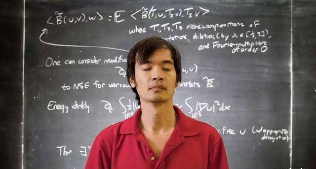 中国神童陶哲轩,智商比爱因斯坦高30,24岁成名校正教授_数学_父母