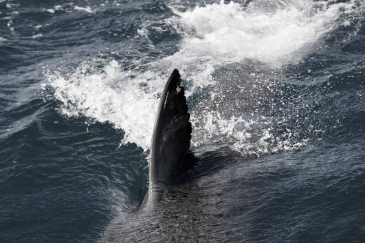 收藏品类uam宇宙艺术博物馆_戴帆_生活_人类