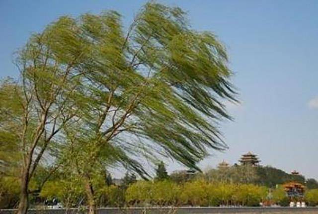 一文厘清:古人没有精密的仪器,他们是如何测定风向风力?