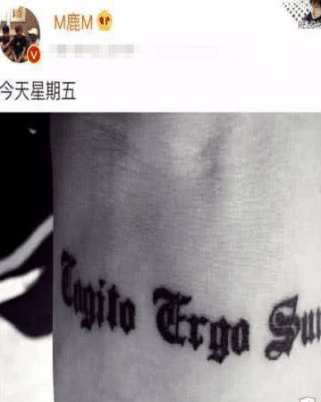 录制节目不能"露纹身",看到鹿晗的处理方式,女粉:情商太高了_因为