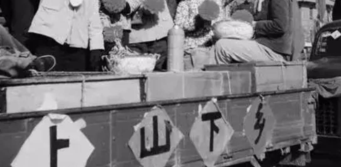 女子未婚先孕,为了回家狠心抛下2岁女儿,38年后母女