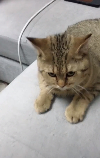 减肥_网友_运动