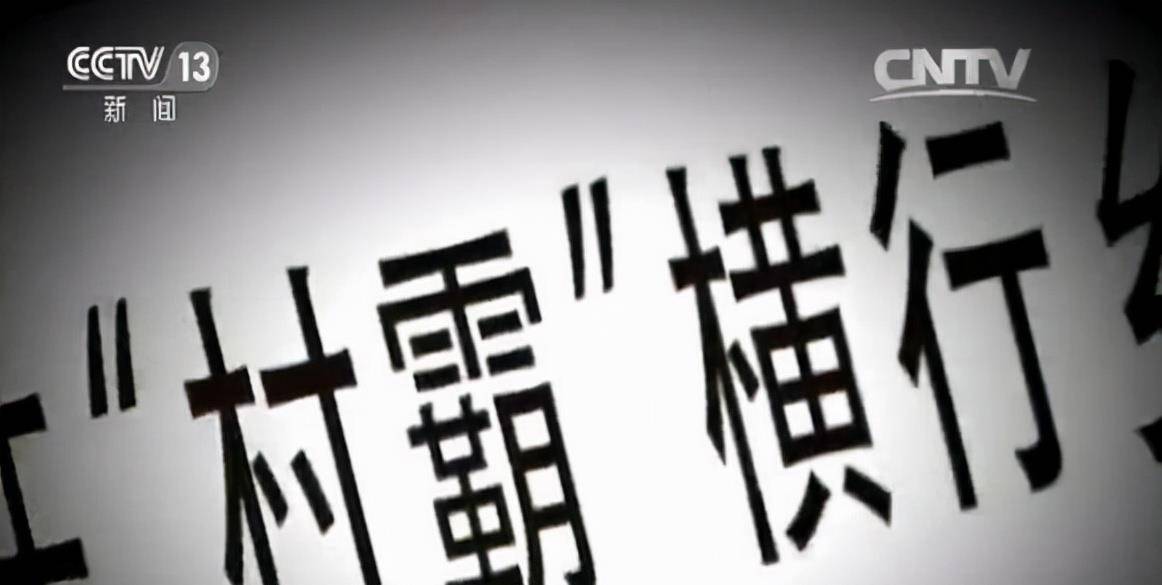 广东陆丰恶霸陈金朝落网记_蔡某_进行了_村民