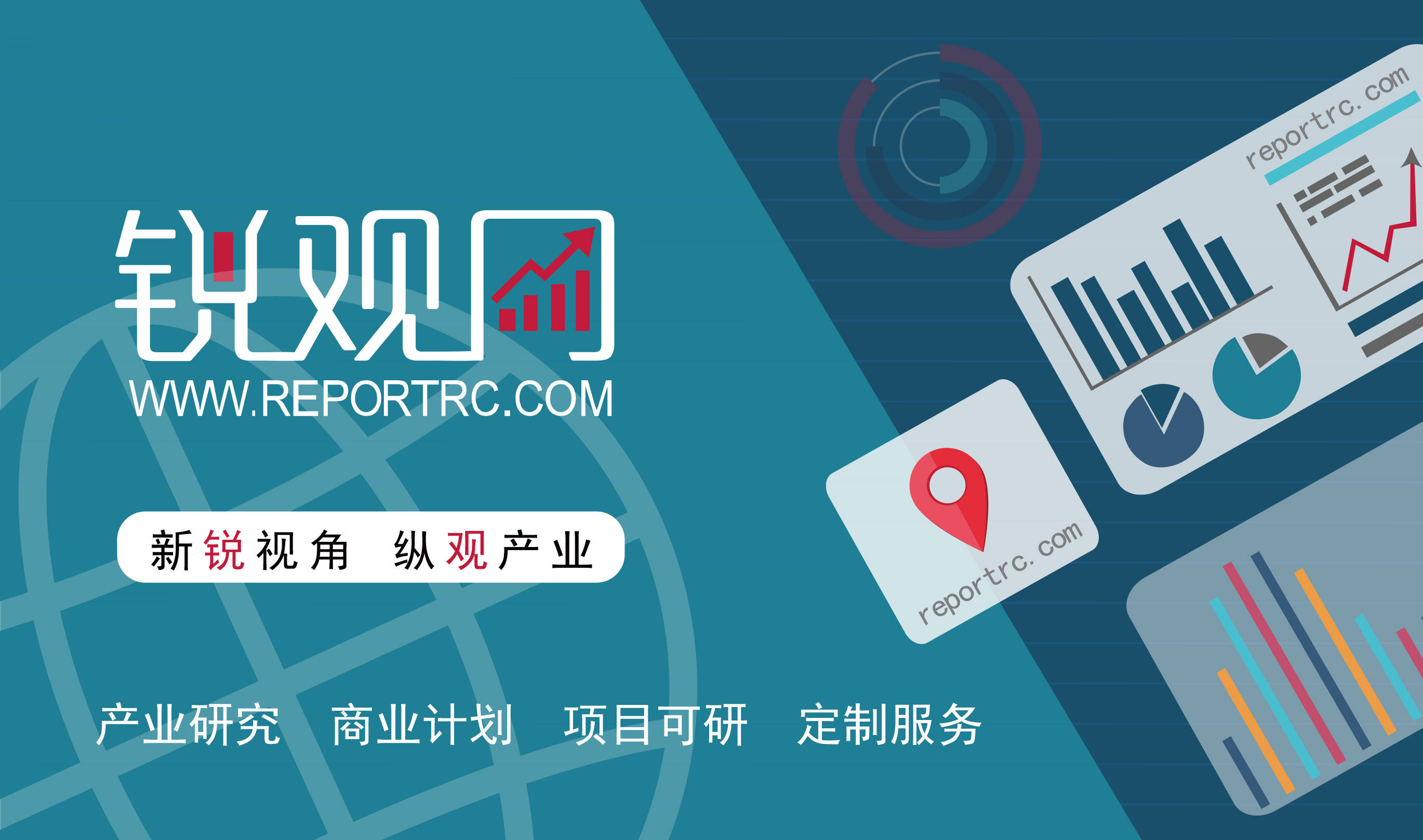 2024-2028年中国软饮料产业发展预测及投资分析报告_市场_行业_消费