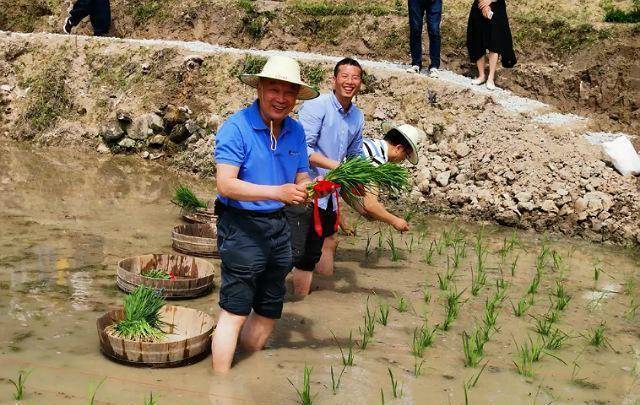 我的经历(80):退而不休,活得有意思有意义6.