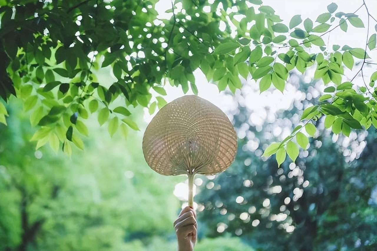 二十四节气,24张美图,24首诗词,又被中式美学惊艳