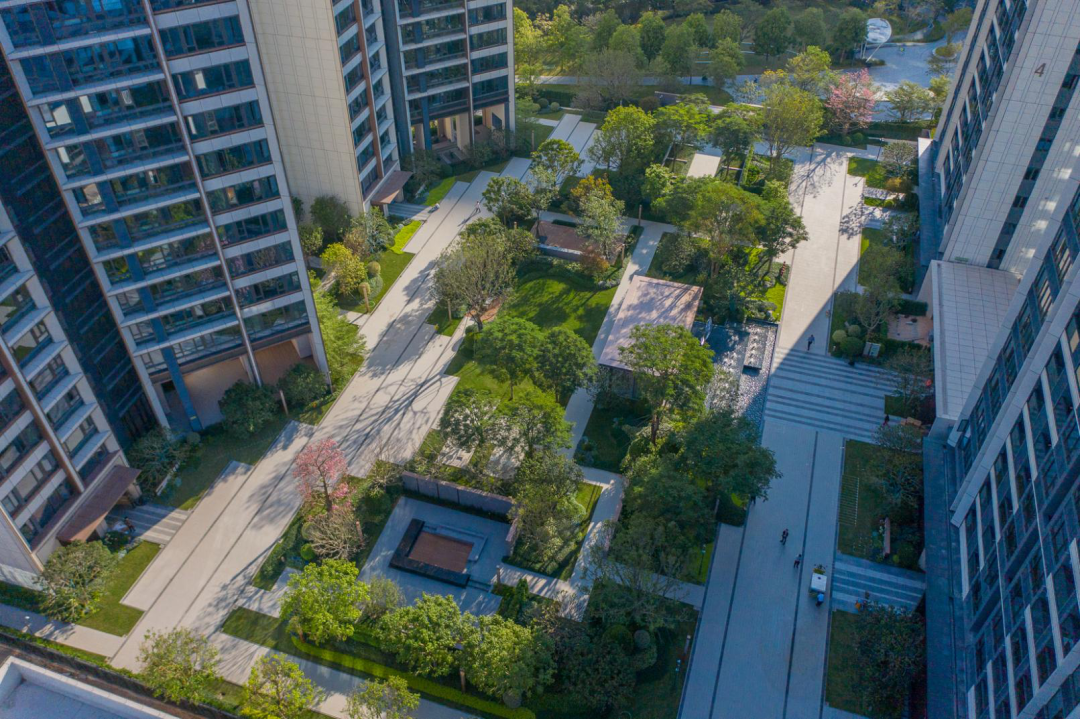 精雕细琢,"质"敬美好丨招商蛇口匠心之作_项目_公园_建筑