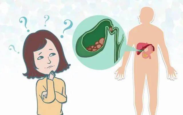 医生说出大实话,看完明白了_胆汁_肝脏_人体