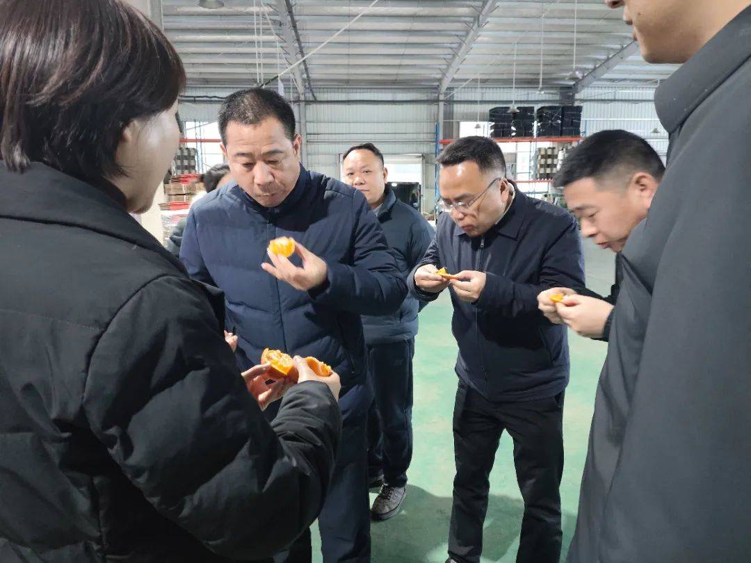 洪江市人民政府副市长杨英为一行莅临辰颐物语园区参观考察_企业_合作