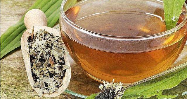 56岁男子,坚持每天喝车前草水治痛风,3个月后,健康情况如何?