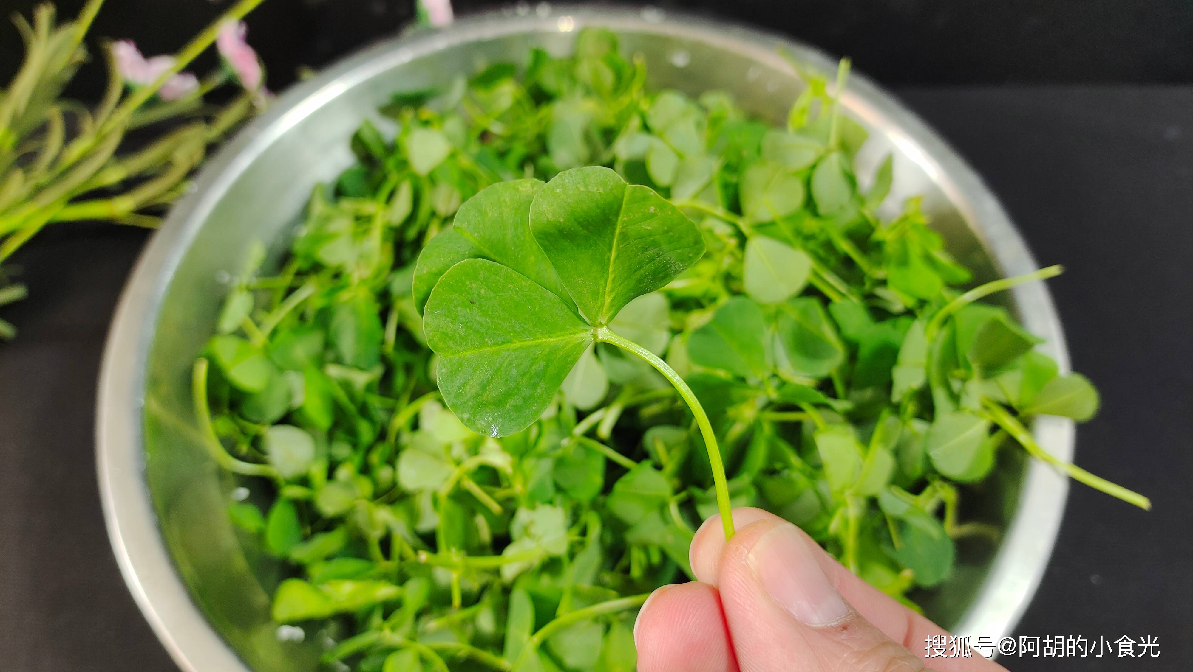 蒸出一盘大馄饨,尝一口鲜嫩,品一口春天味道