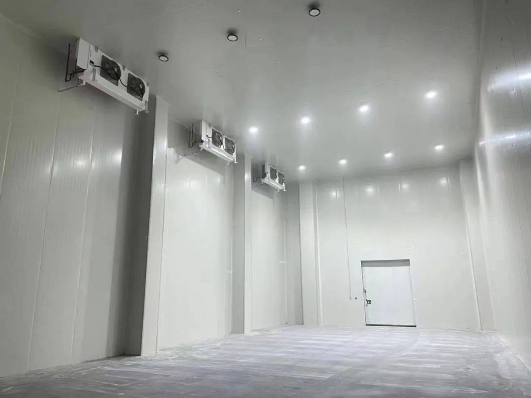 自动化冷库有何特别之处?建设要点大揭秘_物流_温度_设计