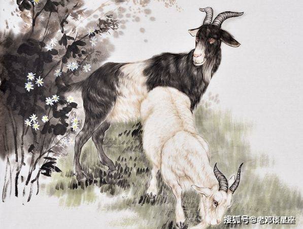 属羊的朋友心地善良,做什么事都会特别用心.一到二月底,机会就来了.