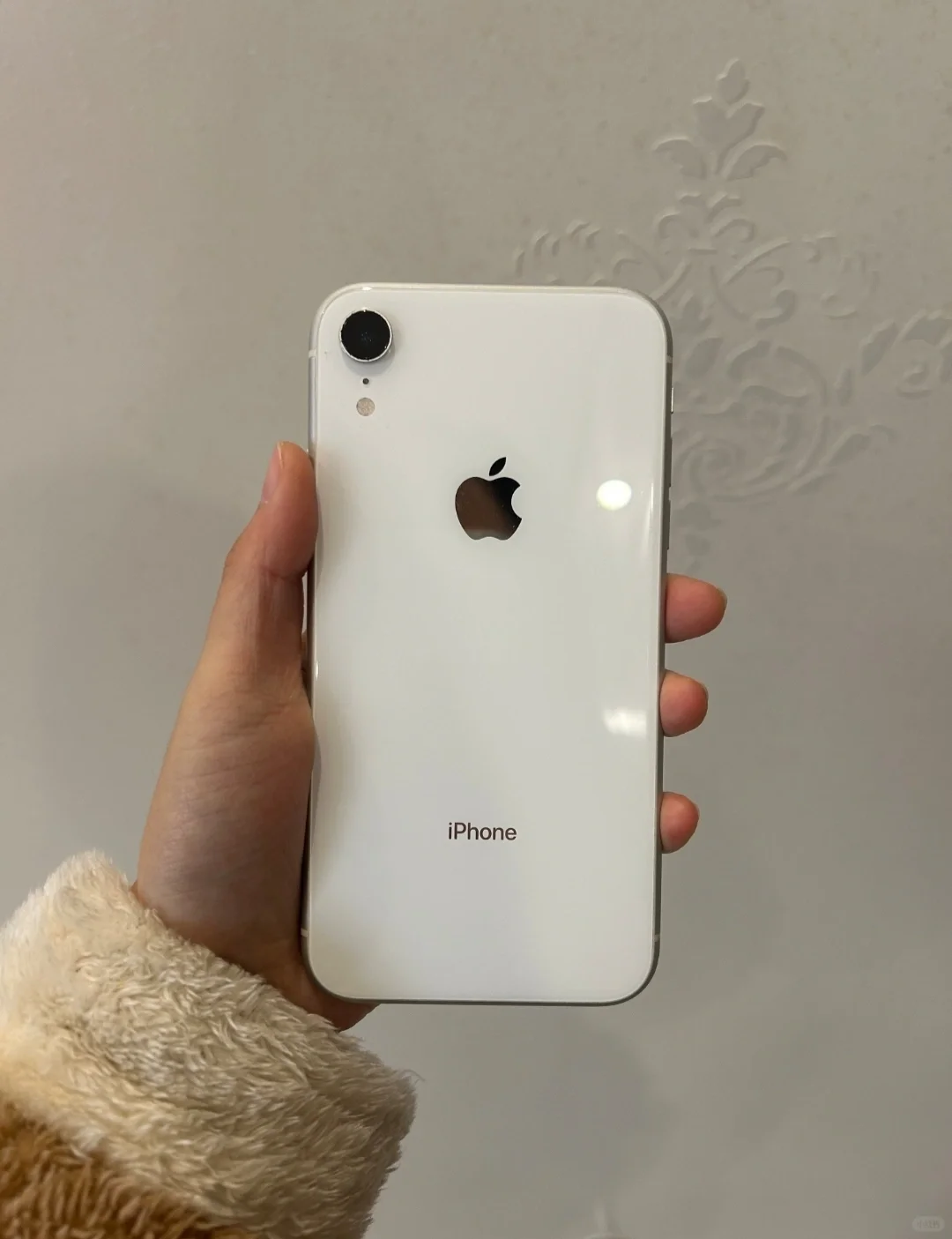 iphone xr也能上榜?_手机_用户_mini